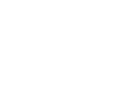 SYSMANAGER - Portfolio - Petrobras logo branco 400w